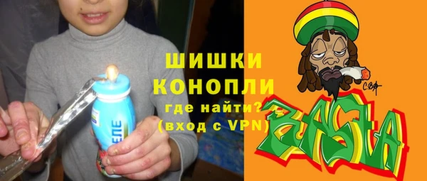твердый Горняк