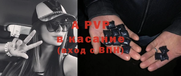 твердый Горняк