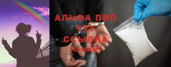 твердый Горняк