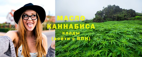 твердый Горняк