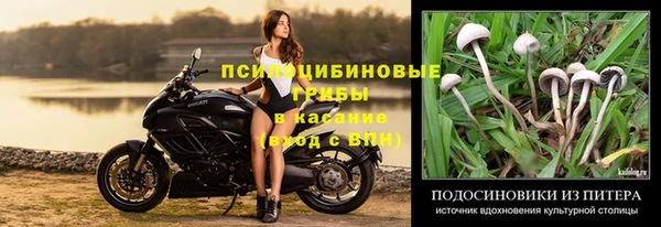 меф Горнозаводск