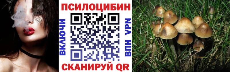 Псилоцибиновые грибы прущие грибы  Дальнереченск 